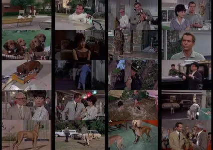 The Ugly Dachshund (1966)