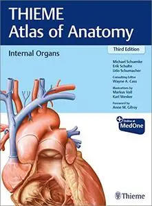 Internal Organs, 3rd Edition