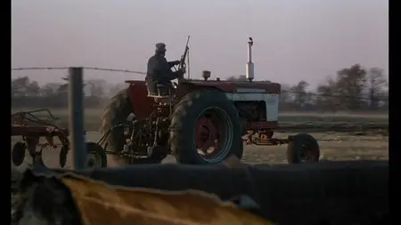 Stroszek (1977)