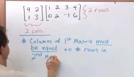 Math Tutor - The Matrix Algebra (Repost)