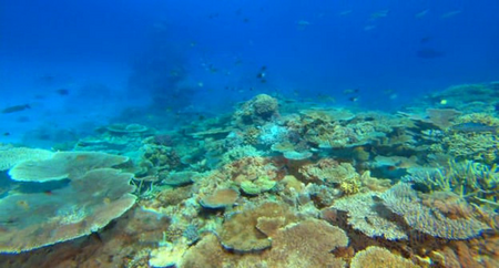 Oceani (2010)