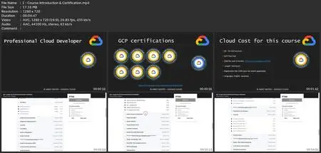 Gcp Google Cloud Professional Cloud Developer Certification