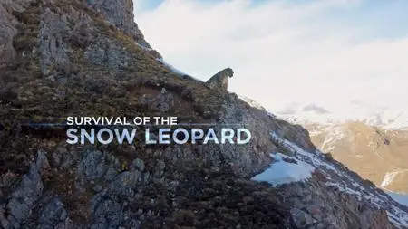 Survival of the Snow Leopard (2020)