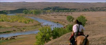 Dances with Wolves (1990)