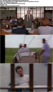 Dead Man Walking (1995)