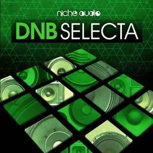 Niche Audio DNB Selecta for NI Maschine 2