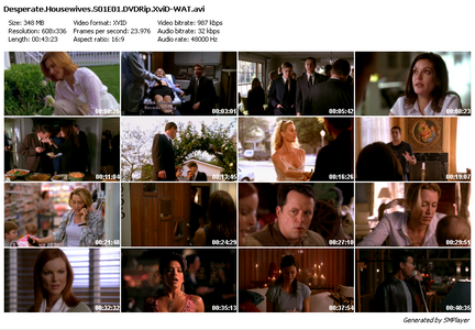 Desperate Housewives season 1 completed