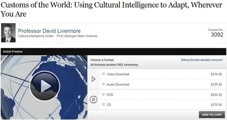 Customs of the World - Using Cultural Intelligence to Adapt, Wherever You Are
