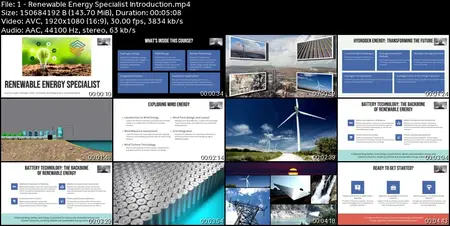 Renewable Energy Specialist: Solar, Wind, Hydrogen & CCS