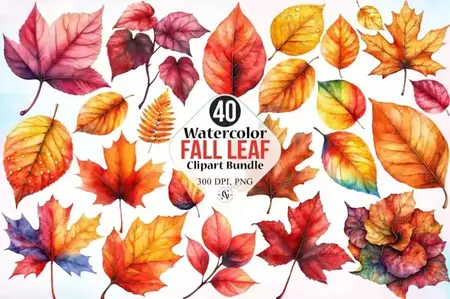 40 Watercolor Fall Leaf Clipart Bundle