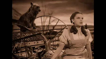 The Wizard of Oz (1939)