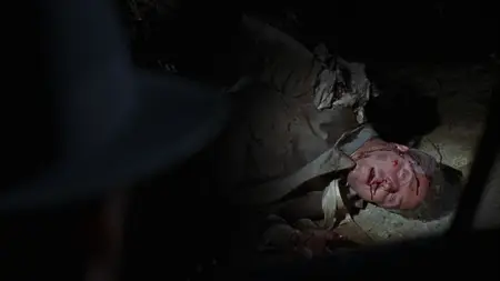 Mulholland Falls (1996)