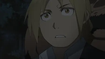 Fullmetal Alchemist Brotherhood 48