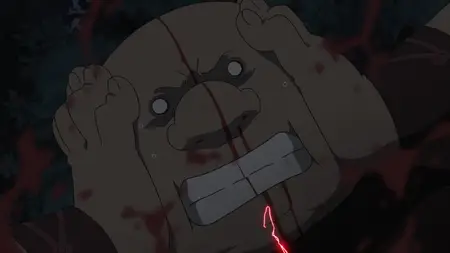 Fullmetal Alchemist Brotherhood 48