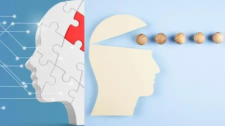 Disinformation & Influence Operations