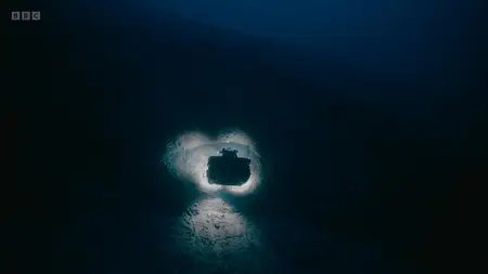 Deep Ocean: Kingdom of the Coelacanth (2025)