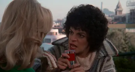 Foul Play (1978)