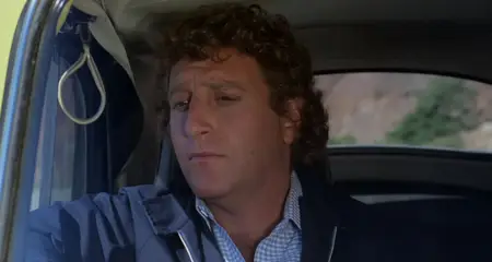 Foul Play (1978)