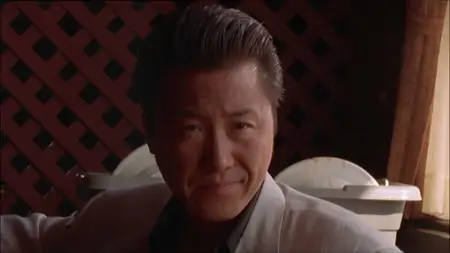American Yakuza 2 / Back to Back (1996)