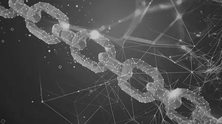 Blockchain Made Practical: Tools for Everyday Use