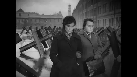 Letyat zhuravli / The Cranes Are Flying (1957)