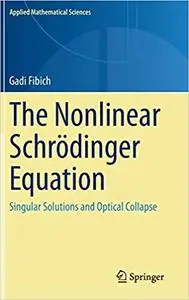 The Nonlinear Schrödinger Equation: Singular Solutions and Optical Collapse