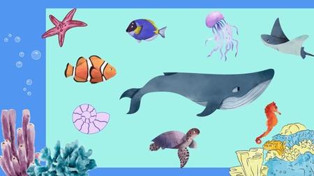 Sealife Watercolor Painting For Beginner'S