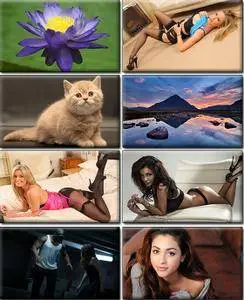 LIFEstyle News MiXture Images. Wallpapers Part (995)