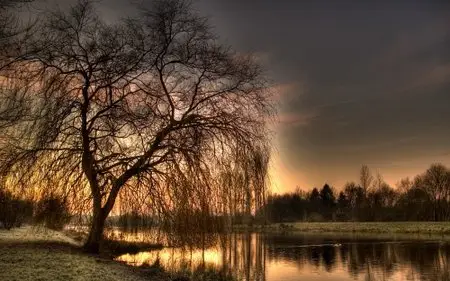 Wallpapers Magni Nature
