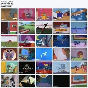 Tom&Jerry Collection (14 Volume DVD Rip)