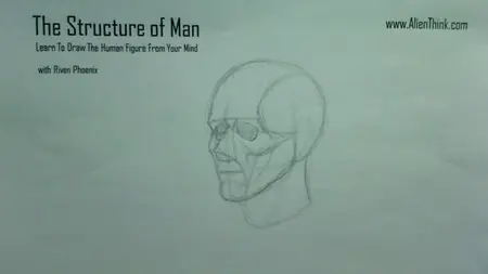 The Structure of Man [Repost]