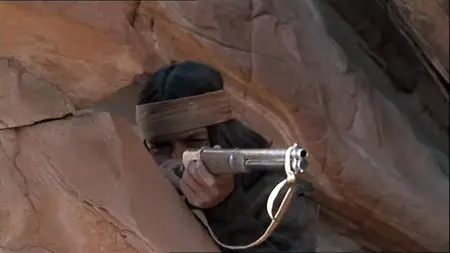 Ulzana's Raid (1972)