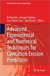 Advanced Experimental and Numerical Techniques for Cavitation Erosion Prediction (Repost)