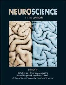 Neuroscience (5th edition) (Repost)