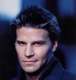Angel  Season 1