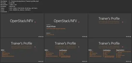 Openstack And Nfv (Telcocloud)