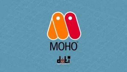 An Introduction to Moho