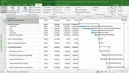 Projektkontrolle mit Microsoft Project