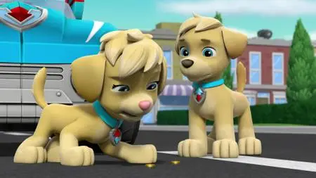 Paw Patrol S06E17