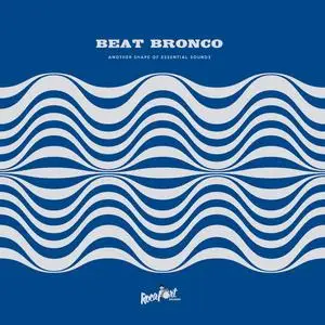 Beat Bronco Organ Trio - Another Shape Of Essential Sounds (2023) [Official Digital Download]