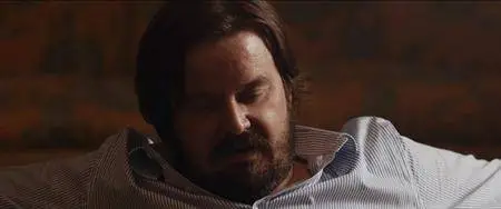 La felicità è un sistema complesso (2015)