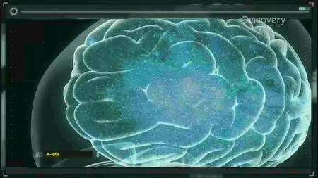 Discovery Channel - X-Ray Mega Airport (2015)