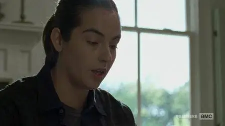 The Walking Dead S07E12 (2017)
