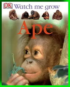 Dorling Kindersley - Ape (Watch Me Grow)