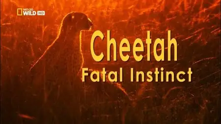 National Geographic - Cheetah: Fatal Instinct (2014)