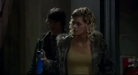 Decoys 2: Alien Seduction (2007)