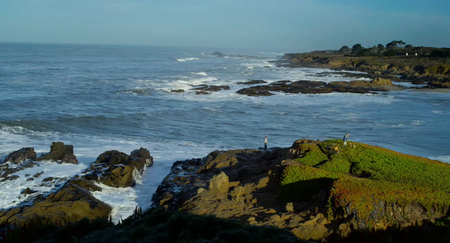 Chasing Mavericks (2012)
