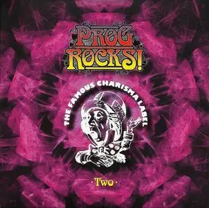 V.A. - Prog Rocks! Five Discs Celebrating Five Legendary Prog Rock Labels [5CD Box Set] (2013) (Repost)