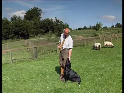 Retriever Training Master Class with Edward Martin, Part I, II