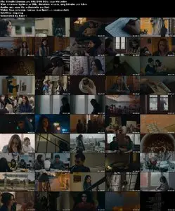 Simdiki Zaman / Present Tense (2012)